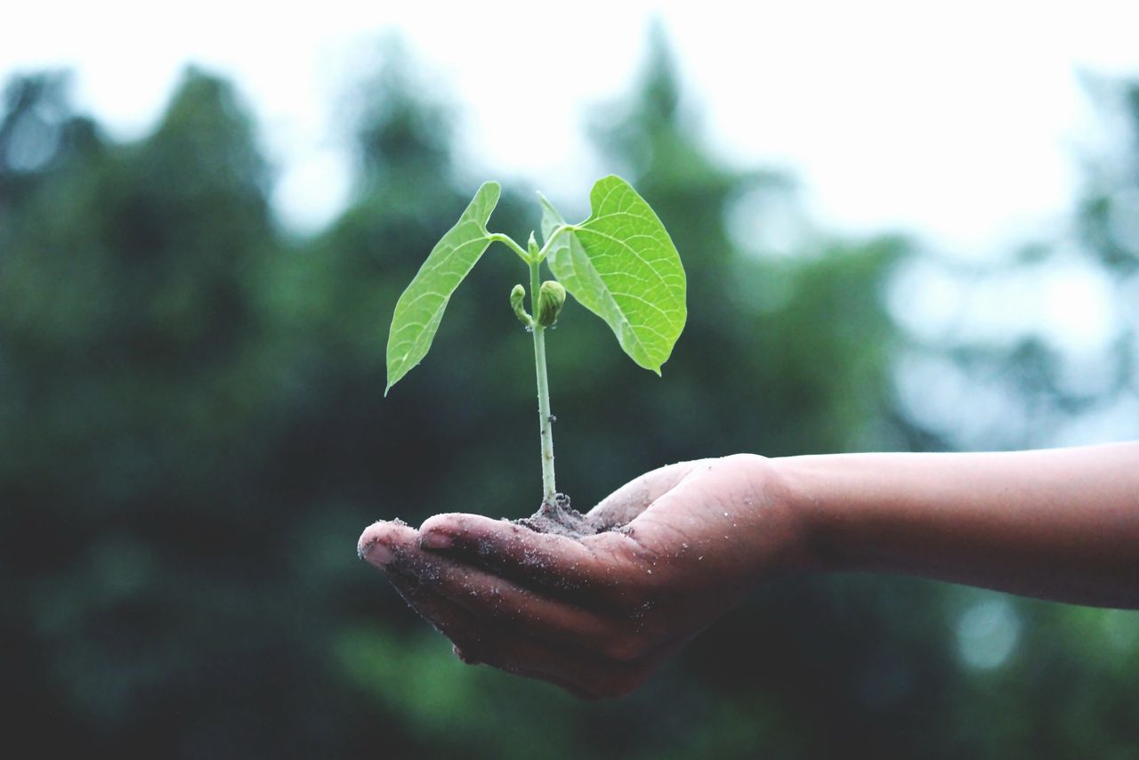 A vision of sustainable growth