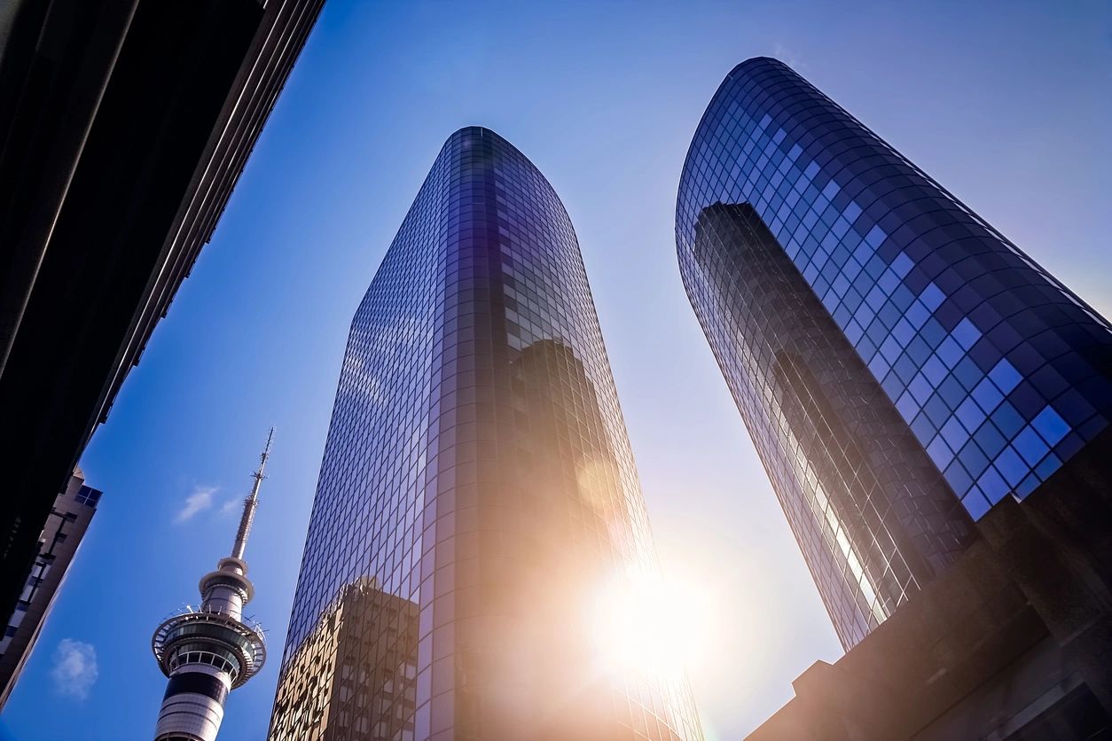 Crony capitalism is baked into the capitalist market economy