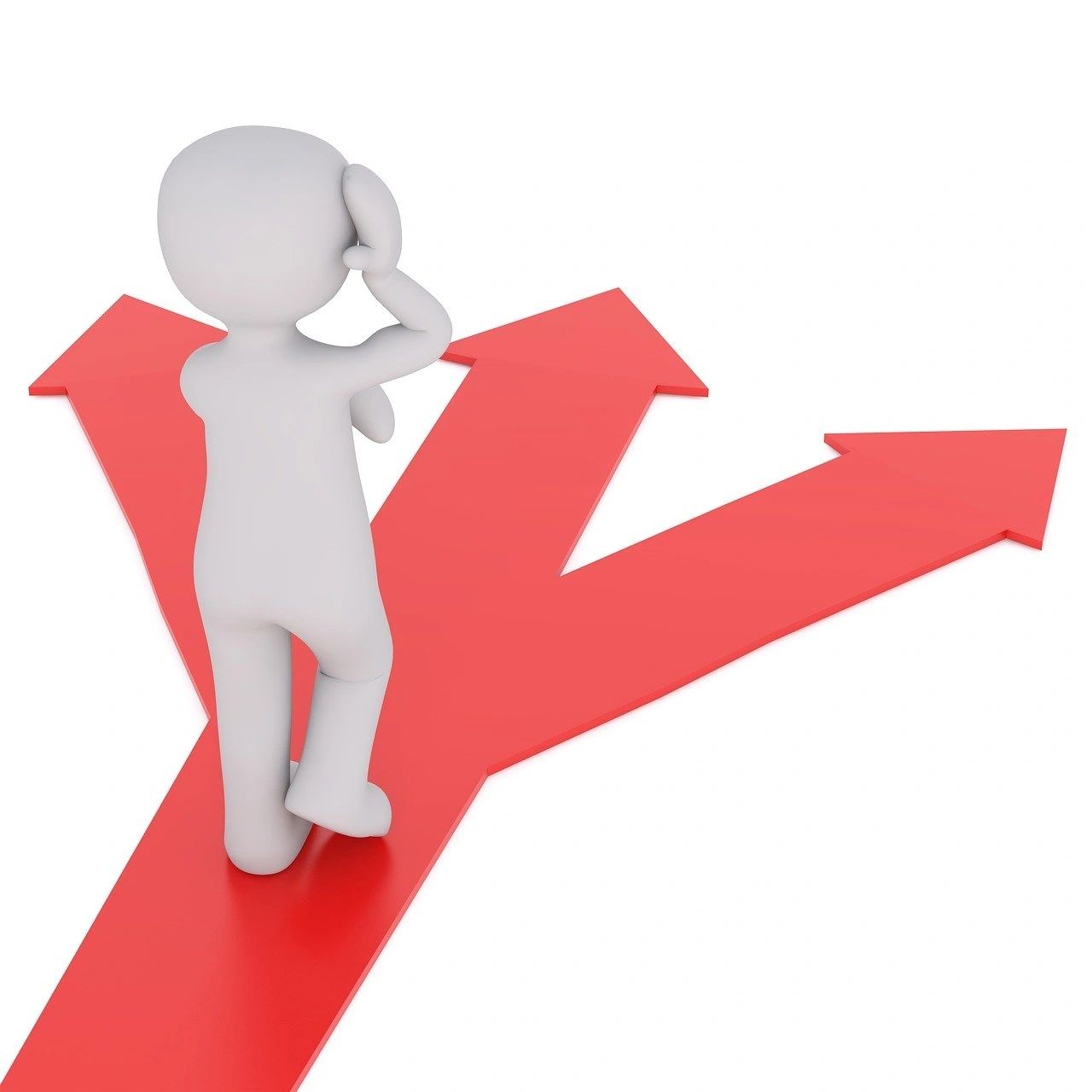 In What Way should the Economy be Reformed?