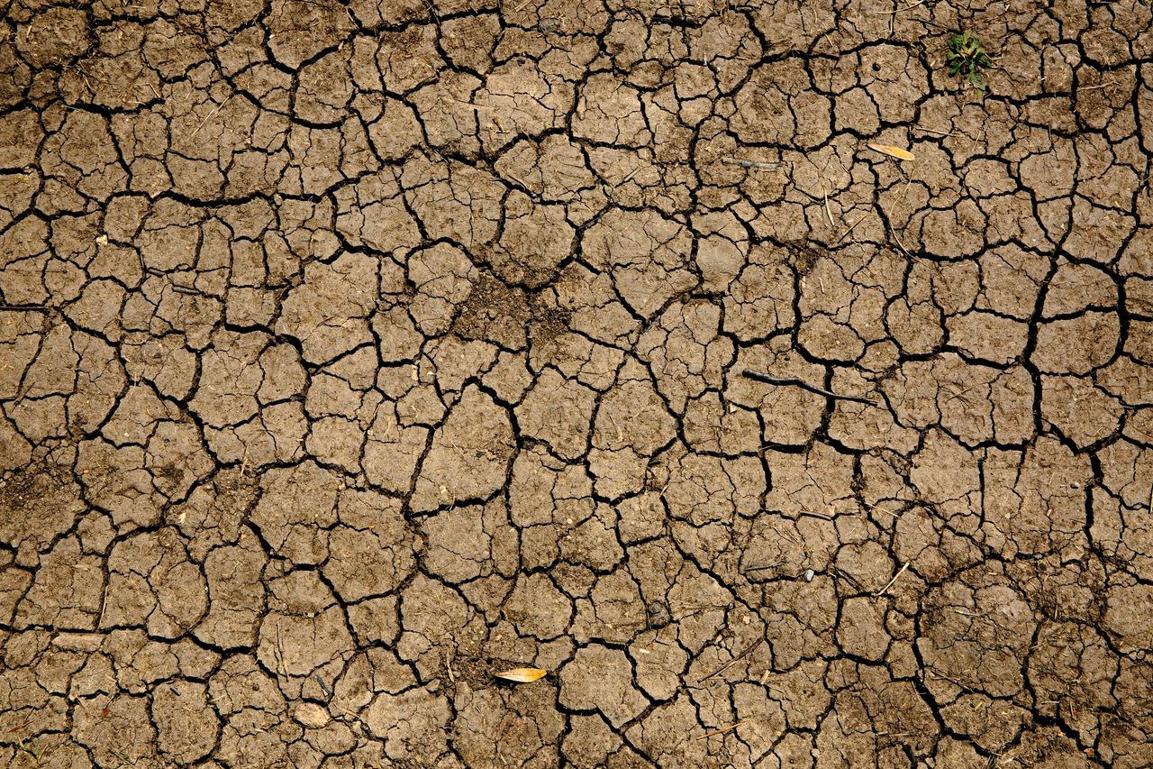 Killing Nature to Increase Wealth
