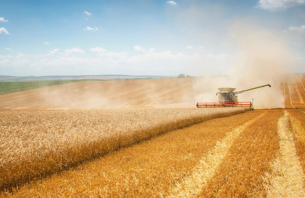 Localisation is the key to equitable and sustainable growth