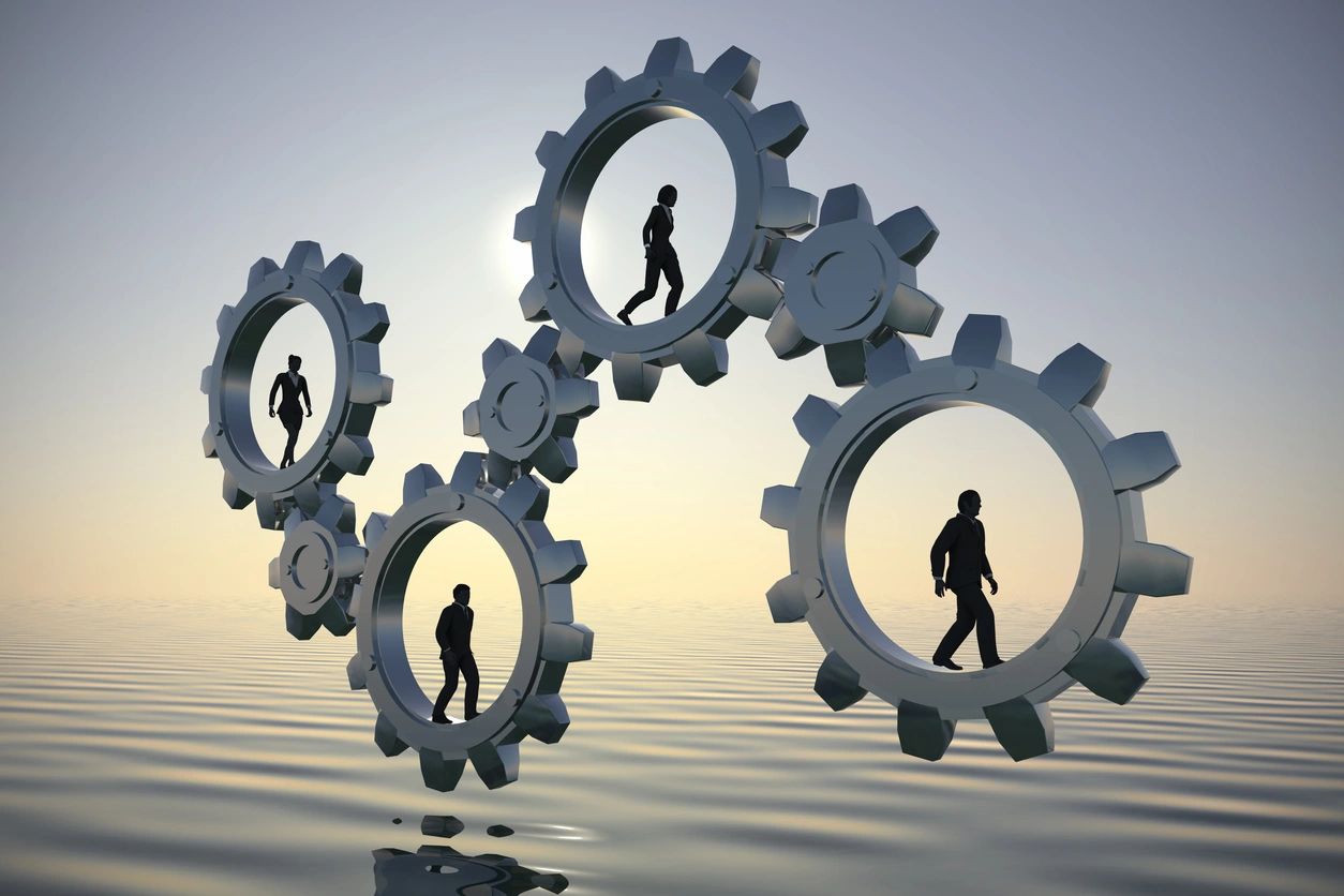 The Complications Humans Create in Complex Systems