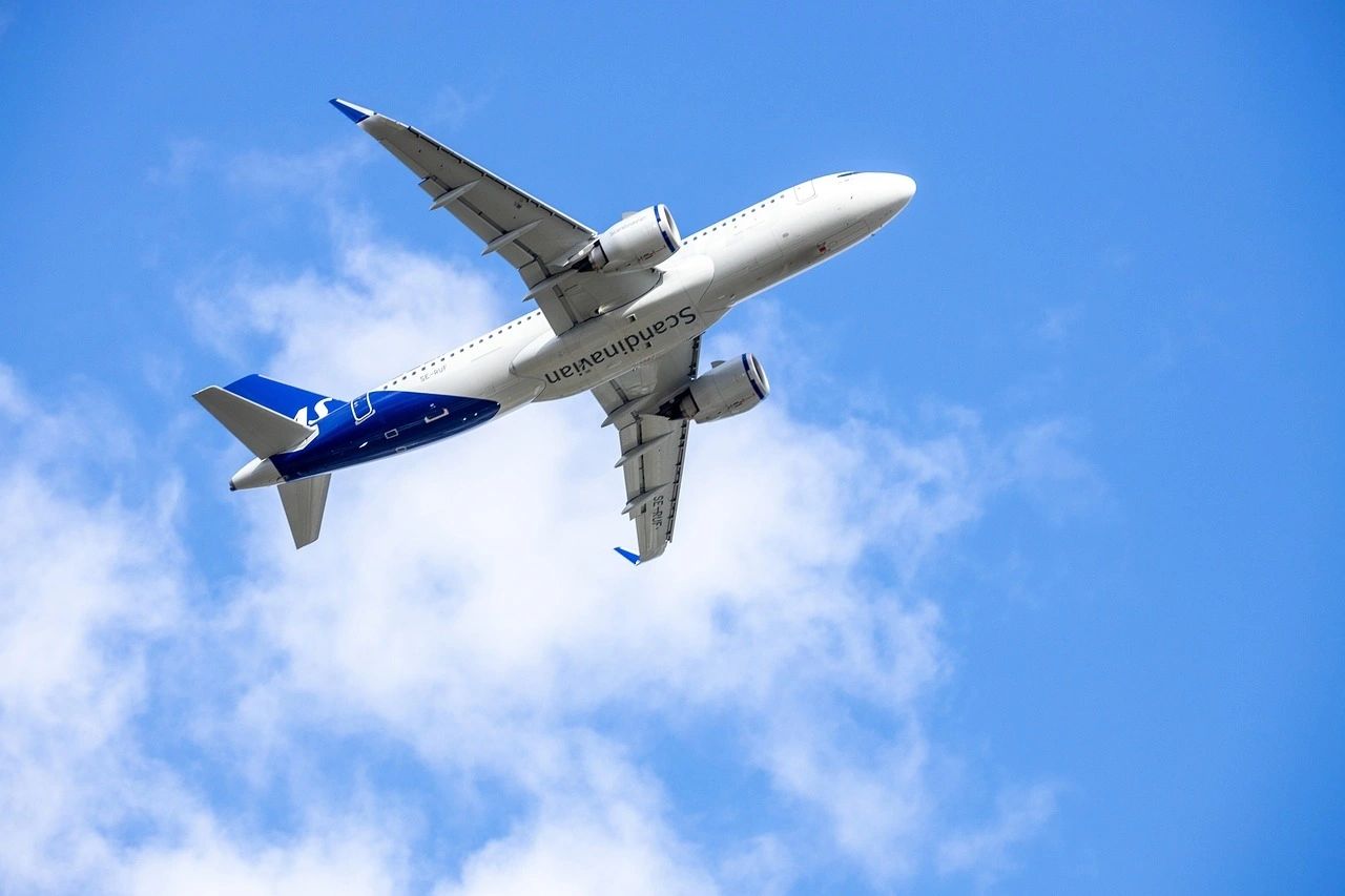 The Indigo Crisis Reveals the Need to Reform Corporate Governance