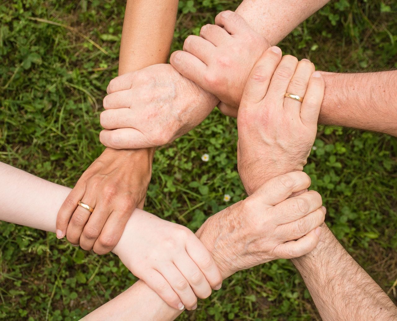 The purpose and competencies of NGOs