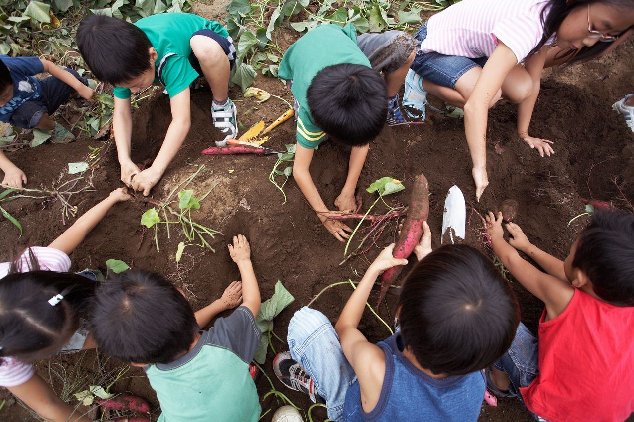 The Wisdom of Systems Thinking and Community Cooperation
